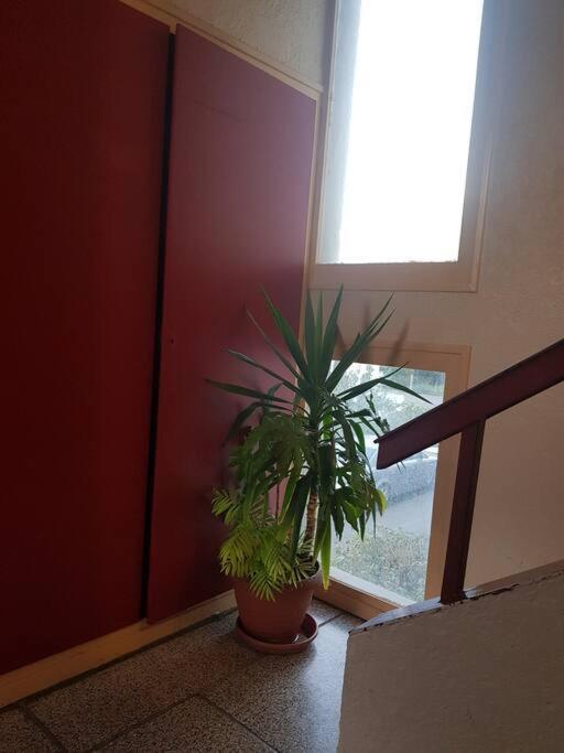 Scionzier Superbe Appartement En Residence Prive Avec Un Parking Prive מראה חיצוני תמונה