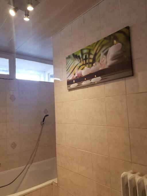 Scionzier Superbe Appartement En Residence Prive Avec Un Parking Prive מראה חיצוני תמונה