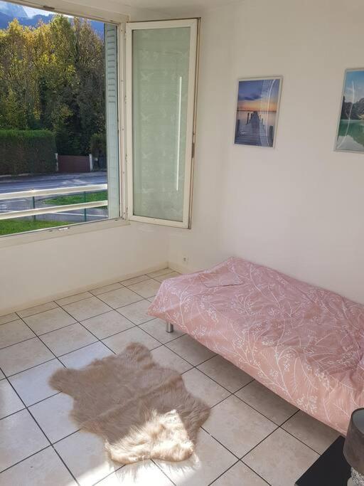 Scionzier Superbe Appartement En Residence Prive Avec Un Parking Prive מראה חיצוני תמונה